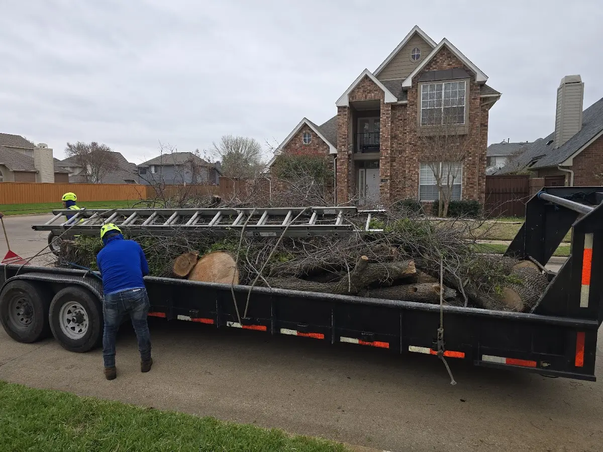 Expert Crown Reduction with proper safety equipment in Sibley